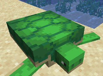 How to Tame Turtles in Minecraft 1.16.5