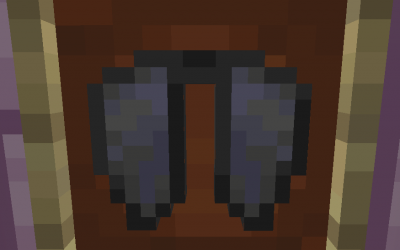 How to get the Elytra in Minecraft Java 1.16.5